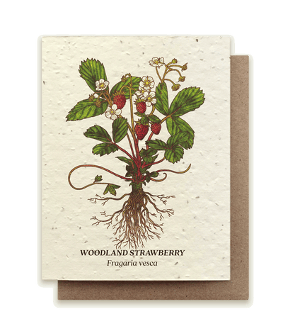 Strawberry - Plantable Wildflower Seed Card