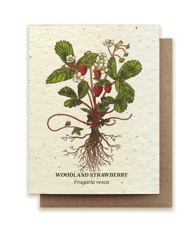 wildflower seed cards Strawberry - Plantable Wildflower Seed Card