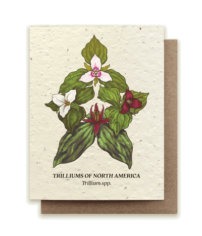 Trillium Compass Plantable Wildflower Seed Card