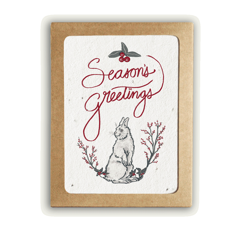 Winter Holiday Card Set - Plantable Herb Seed Paper