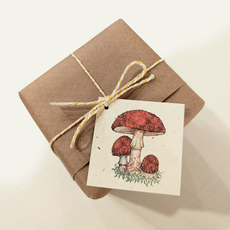 Gift Tags: Fly Agaric Mushroom - Plantable Wildflower Seed Paper