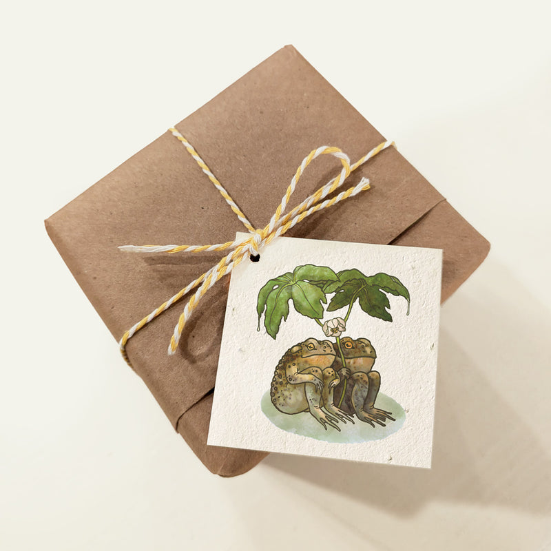 Gift Tags: Two Toads - Plantable Herb Seed Paper