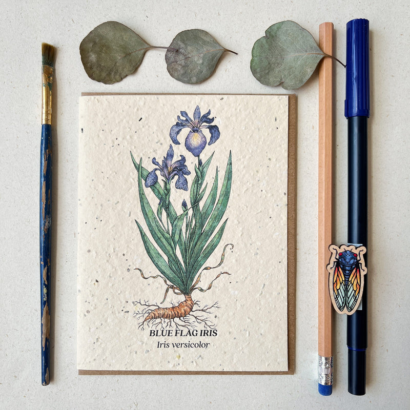 Blue Flag Iris Plantable Wildflower Seed Card