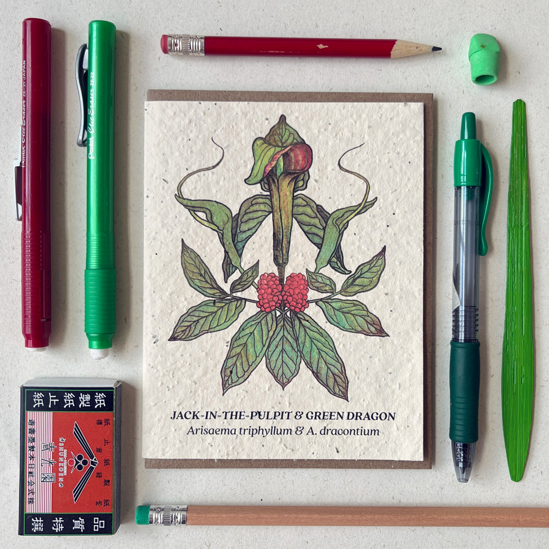 Jack-in-the-Pulpit & Green Dragon - Plantable Herb Seed Card - Small  Victories