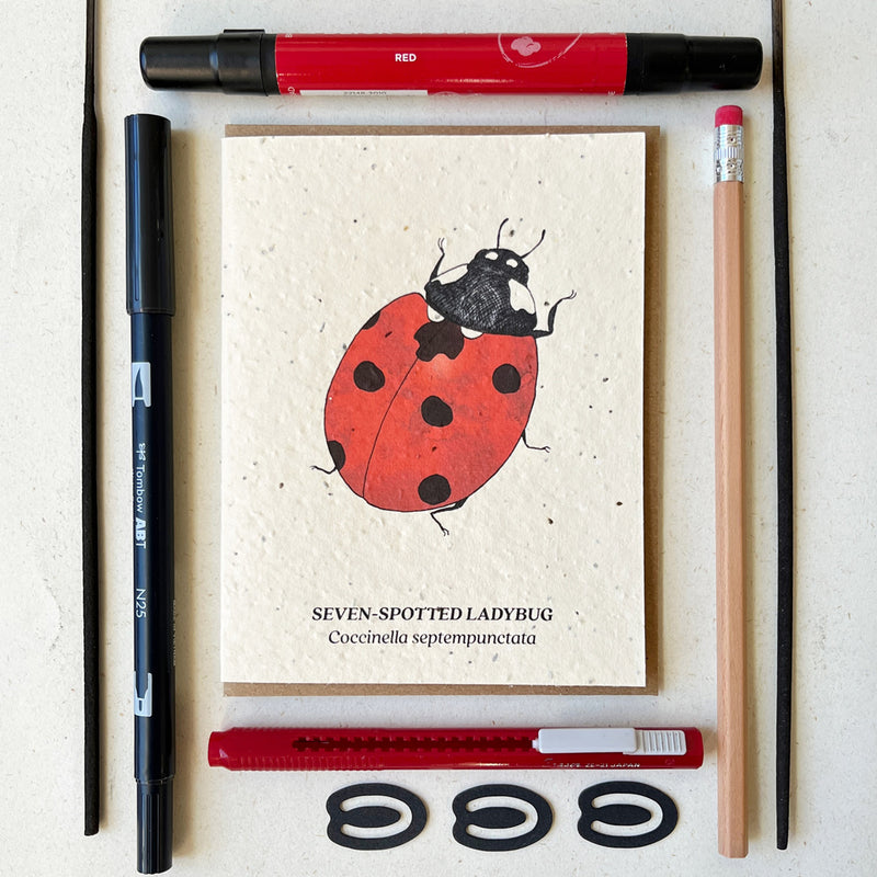 Seven-Spotted Ladybug - Plantable Wildflower Seed Card