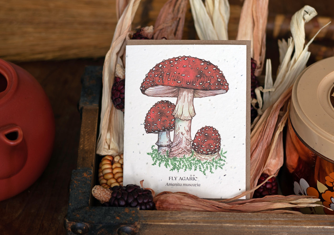 A photo of a Bower Studio seed card featuring red fly agaric mushrooms. The card is in a wooden box with dried ears of corn and objects in autumnal colors