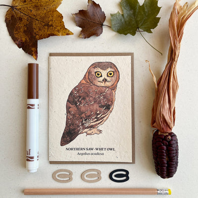 Northern Saw-Whet Owl - Plantable Wildflower Seed Card