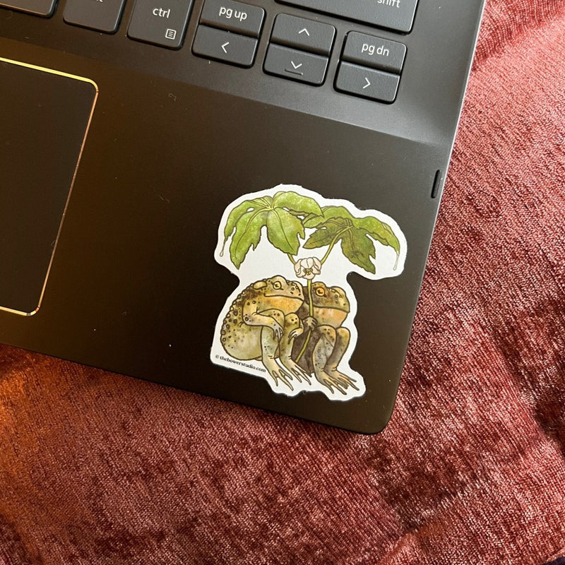 Eco Sticker: Two Toads